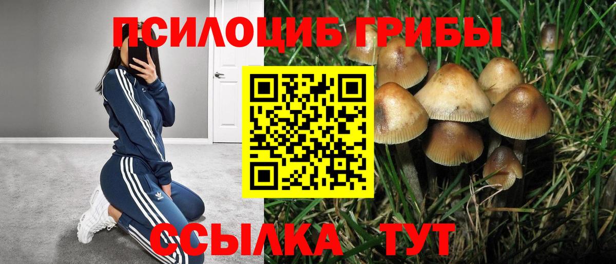 Ржев  Галлюциногенные грибы ЛСД  Вход с VPN 